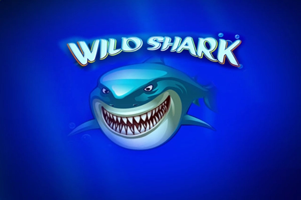 00369 wild shark